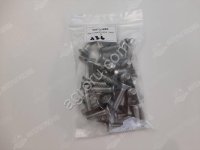 Запчасть для BERTHOUD M 8X30 EEL SCREW MINI 5 (M 8X30 STNL.СТАЛЬ ВИНТ МИНИ 5) (ар)