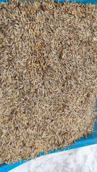 Комбикорма, зерносмеси