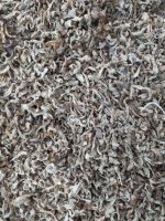 Жом свекловичный сухой в стружке