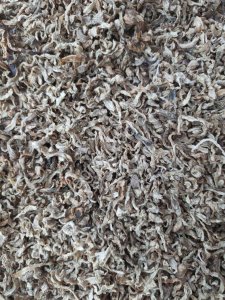 Жом свекловичный сухой в стружке