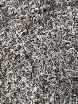 Жом свекловичный сухой в стружке