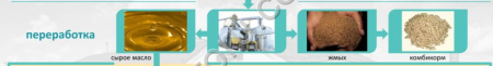 Оказываем услуги по переработке семян масличных культур (подсолнечник, рапс, лен)