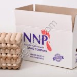 Инкубационное яйцо Ross308