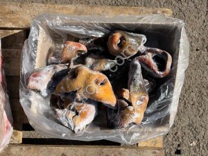 Губонос говяжий опаленный