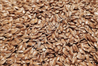 Семена льна коричневого оптом от поставщика
