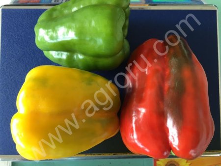 Перец сладкий Помпео и Риалто