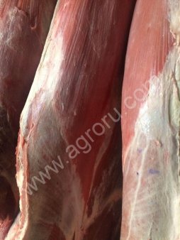 Мясо молодых бычков,коров,охл., блочка в/с,1 сорт,односорт