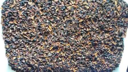 Облепиха сушеная