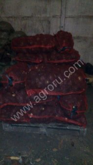 Черная редька оптом