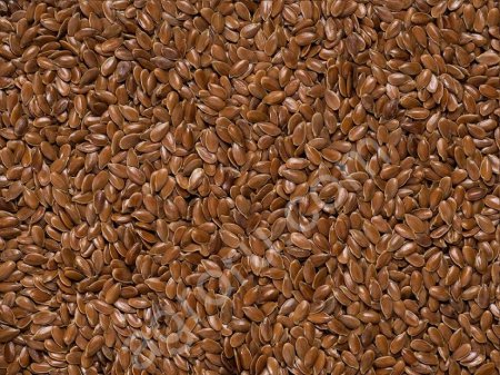 лен масленичный очище