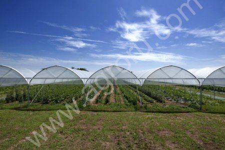 Установка фермесрких теплиц и промышленных тепличных комплексов