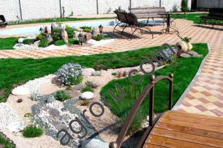 Сосны ,ели, посадка, озеленение ,ландшафтный дизайн