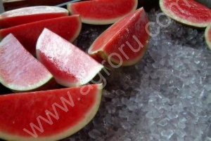 семена бахчевых культур