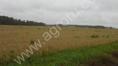 земельные участки сельхозназначения от 2 до 800 га