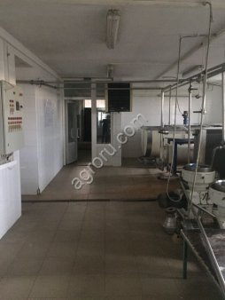 Предприятие по производству рассольных сыров