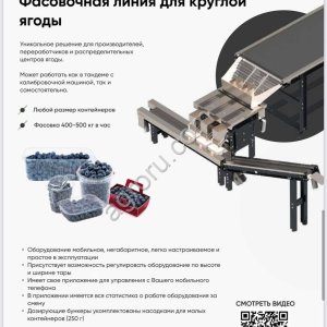 Сортировочно-калибровочная машина  и фасовочная линия для круглой ягоды