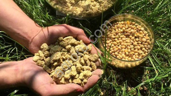 Жмых соевый