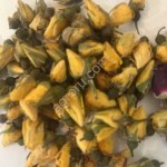 Роза желтая