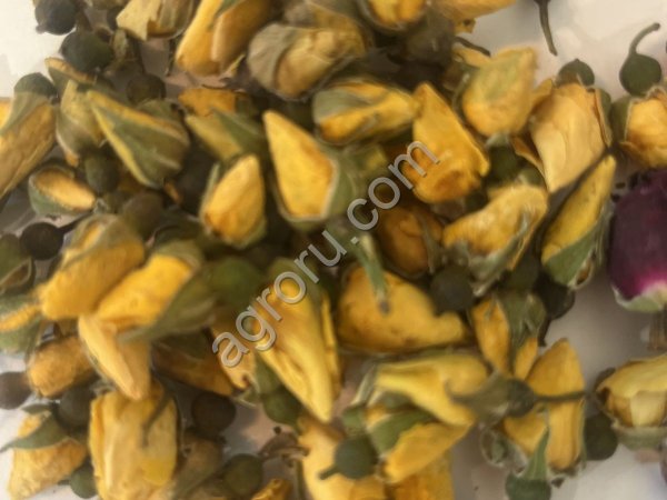 Роза желтая