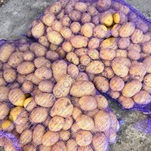 Картофель Гала