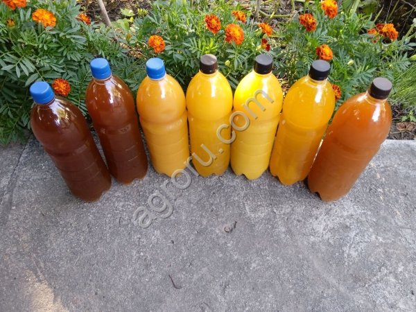 Мёд натуральный