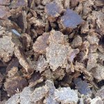 Жмых подсолнечный, рапсовый