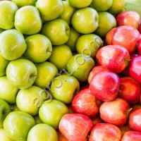 Яблоко от производителя