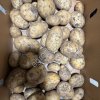 Картофель