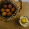 Домашнее куриное яйцо