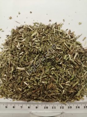 Трава спорыша измельчённая