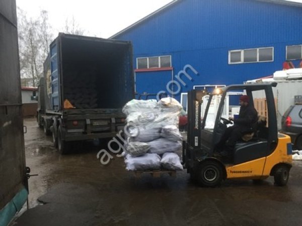 Лицензия на экспорт чаги березовой