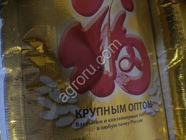 РИС