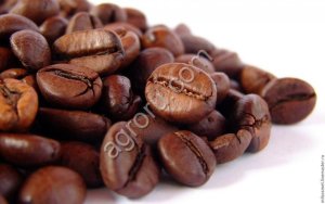 кофейные зёрна