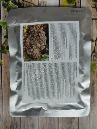 Экстракт Maitake, 100 гр,