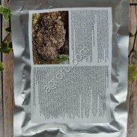 Экстракт Maitake, 100 гр,