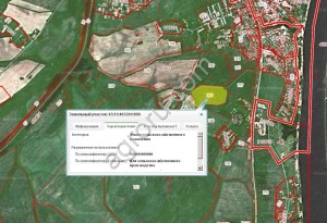 15,5 гектар