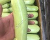Кабачки Оптом, сорт Арал, свежие с поля в Краснодарском крае