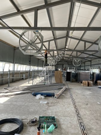 Вентиляция для фермы КРС