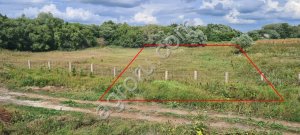 Земля, недвижимость, агротуризм