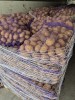 Картофель