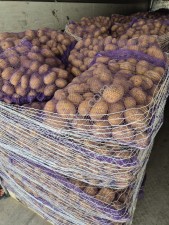 Картофель