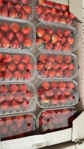 Клубника свежая оптом