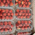 Клубника свежая оптом