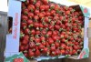 Свежая клубника