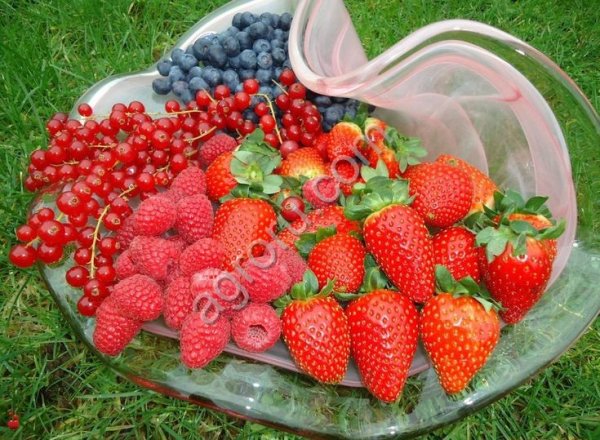 Молотая сера ГОСТ 127.5-93