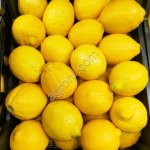 Лимоны Адалия