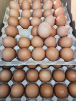 Яйцо куриное С0, С1, С2