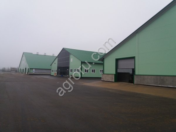 Проекты ферм КРС