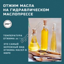 Маслопресс холодного отжима гидравлический MasterPress 50 тонн