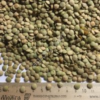 Чечевица красная, зелёная, зерноотход, мучка